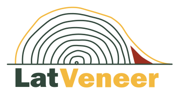 LatVeneer Logo