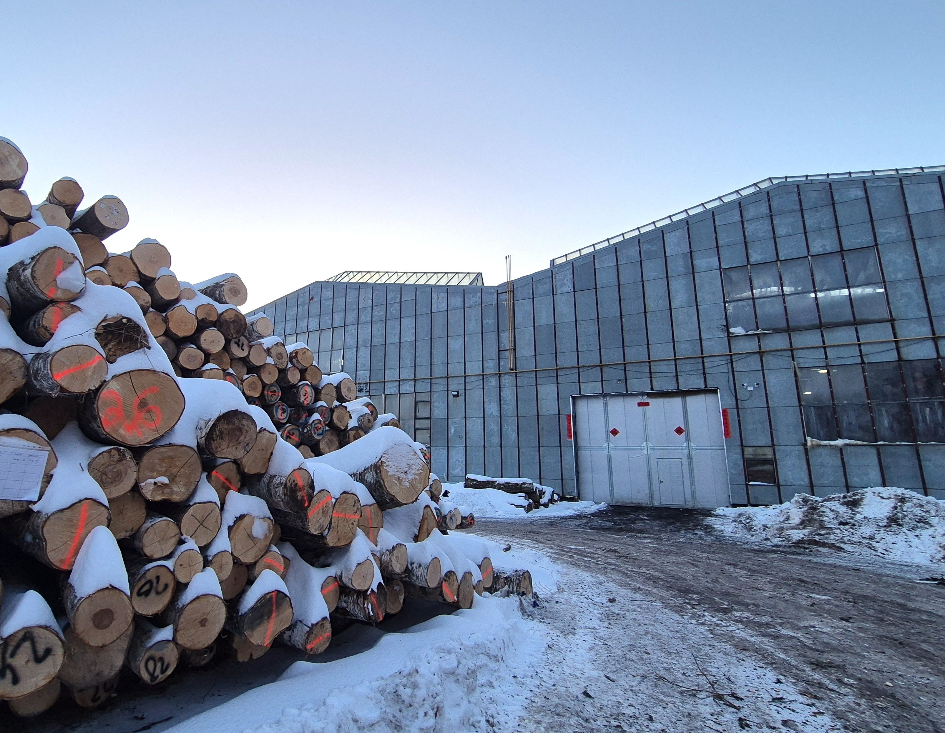 Chinese New Year decorations