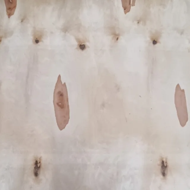 E grade birch veneer sheet with open defects
