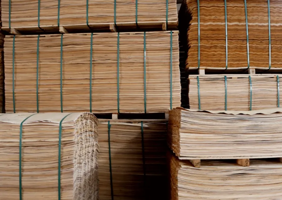 Strapped pallets of finished birch veneer