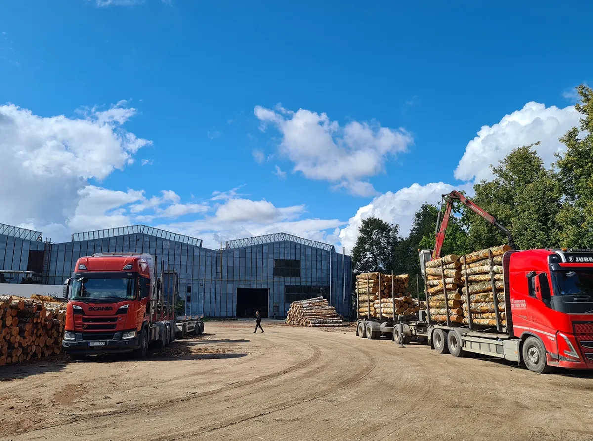 LatVeneer mill exterior with birch log trucks, Jēkabpils